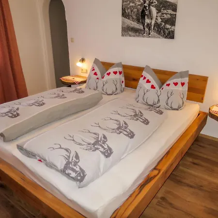 Oberriese - Zaz415 Apartment Zell am Ziller